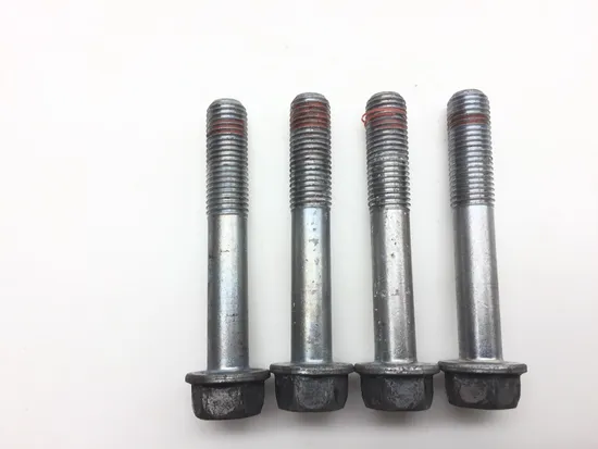 2009 Honda CBR 1000RR Repsol Front Brake Caliper Mounting Bolts  2556A