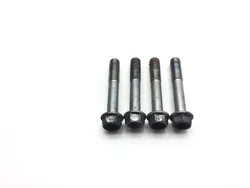 2009 Honda CBR 1000RR Repsol Front Brake Caliper Mounting Bolts  2556A