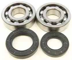 All Balls Crankshaft Crank Bearings Kit Honda ATC250R TRX250R