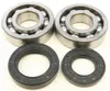 All Balls Crankshaft Crank Bearings Kit Honda ATC250R TRX250R