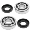 All Balls Crankshaft Crank Bearing Kit Suzuki Kawasaki 60-100