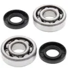 All Balls Crankshaft Crank Bearing Kit Suzuki Kawasaki 60-100