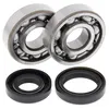 All Balls Crankshaft Crank Shaft Bearing Kit for Kawasaki KX125