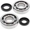 All Balls Crankshaft Crank Bearings Kit Kawasaki KX250 KDX250