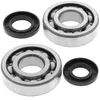 All Balls Crankshaft Crank Bearings Kit Kawasaki KX250 KDX250