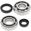 All Balls Crankshaft Crank Shaft Bearing Kit for Suzuki RM125