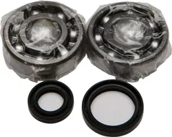 All Balls Crankshaft Crank Shaft Bearing Kit for Suzuki RM125