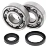 All Balls Crankshaft Crank Shaft Bearing Kit for Suzuki RM125