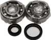 All Balls Crankshaft Crank Shaft Bearing Kit for Suzuki RM125
