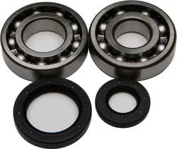 All Balls Crankshaft Crank Shaft Bearing Kit for Suzuki RM250