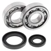 All Balls Crankshaft Crank Shaft Bearing Kit for Suzuki RM250