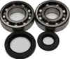 All Balls Crankshaft Crank Shaft Bearing Kit for Suzuki RM250