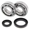 All Balls Crankshaft Crank Shaft Bearing Kit for Suzuki RM250