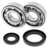 All Balls Crankshaft Crank Shaft Bearing Kit for Suzuki RM250