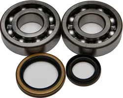 All Balls Crankshaft Crank Shaft Bearing Kit for Suzuki RM250