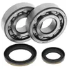 All Balls Crankshaft Crank Shaft Bearing Kit for Suzuki RM250