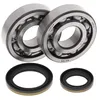 All Balls Crankshaft Crank Shaft Bearing Kit for Suzuki RM250