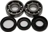 All Balls Crankshaft Crank Shaft Bearing Kit for Yamaha 50-80