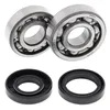 All Balls Crankshaft Crank Shaft Bearing Kit Yamaha YZ80 YZ85