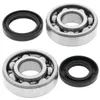 All Balls Crankshaft Crank Shaft Bearing Kit for Yamaha YZ125