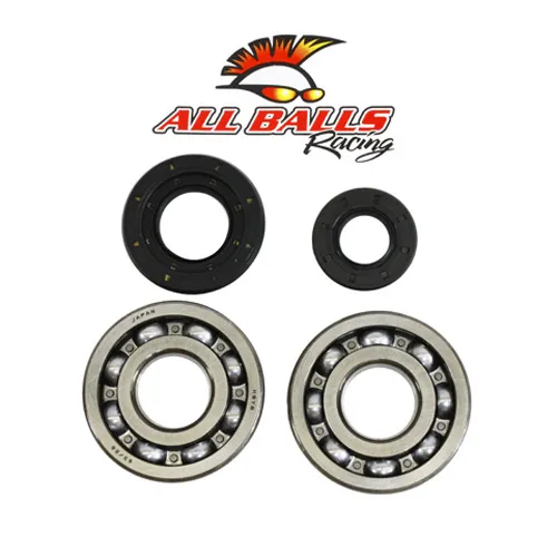 All Balls Crankshaft Crank Shaft Bearing Kit for Yamaha YZ250