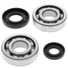 All Balls Crankshaft Crank Shaft Bearing Kit for Yamaha YZ250