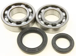 All Balls Crankshaft Crank Bearing Kit for Suzuki Quadracer 250