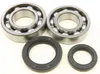 All Balls Crankshaft Crank Bearing Kit for Suzuki Quadracer 250