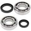 All Balls Crankshaft Crank Bearing Kit for Suzuki Quadracer 250