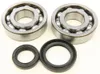 All Balls Crankshaft Crank Bearing Kit for Suzuki Quadracer 500