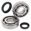 All Balls Crankshaft Crank Bearing Kit for Suzuki Quadracer 500