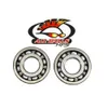 All Balls Crankshaft Bearings Kit Honda Suzuki Kawasaki 200-400