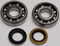 All Balls Crankshaft Crank Shaft Bearings Kit Kawasaki KDX200