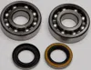 All Balls Crankshaft Crank Shaft Bearings Kit Kawasaki KDX200