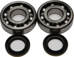 All Balls Crankshaft Crank Bearings Kit Honda Kawasaki 90-220