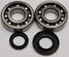 All Balls Crankshaft Crank Shaft Bearing Kit for Suzuki RM250