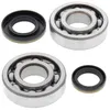 All Balls Crankshaft Crank Shaft Bearing Kit for Suzuki RM250