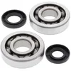 All Balls Crankshaft Crank Shaft Bearing Kit for Kawasaki KX250