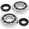 All Balls Crankshaft Crank Shaft Bearing Kit for Kawasaki KX250