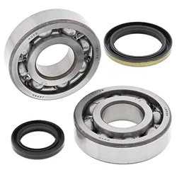 All Balls Crankshaft Crank Shaft Bearings Kit for Suzuki RMX250