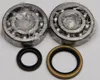 All Balls Crankshaft Crank Shaft Bearings Kit for Suzuki RMX250