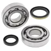 All Balls Crankshaft Crank Shaft Bearings Kit for Suzuki RMX250