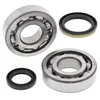 All Balls Crankshaft Crank Shaft Bearings Kit for Suzuki RMX250