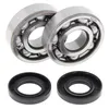 All Balls Crankshaft Crank Shaft Bearing Kit for Yamaha YZ125
