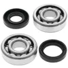 All Balls Crankshaft Crank Bearings Kit for Yamaha Dirtbike 100