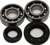 All Balls Crankshaft Crank Shaft Bearing Kit Suzuki Kawasaki 50