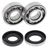 All Balls Crankshaft Crank Shaft Bearing Kit for Suzuki TS100