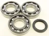 All Balls Crankshaft Bearings Kit for Polaris ATV 335-500