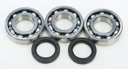 All Balls Crankshaft Crank Shaft Bearings Kit Polaris ATV 250