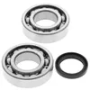 All Balls Crankshaft Bearings Kit Kawasaki Suzuki 250 Dirtbike